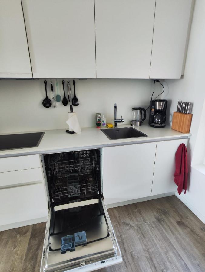 Gezellig Appartement Op Het Bruisende Zuid. Amberes Exterior foto